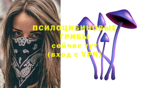 jwh Снежногорск