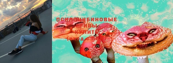 jwh Снежногорск